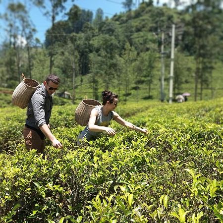 Gk Villa Nuwara Eliya Esterno foto